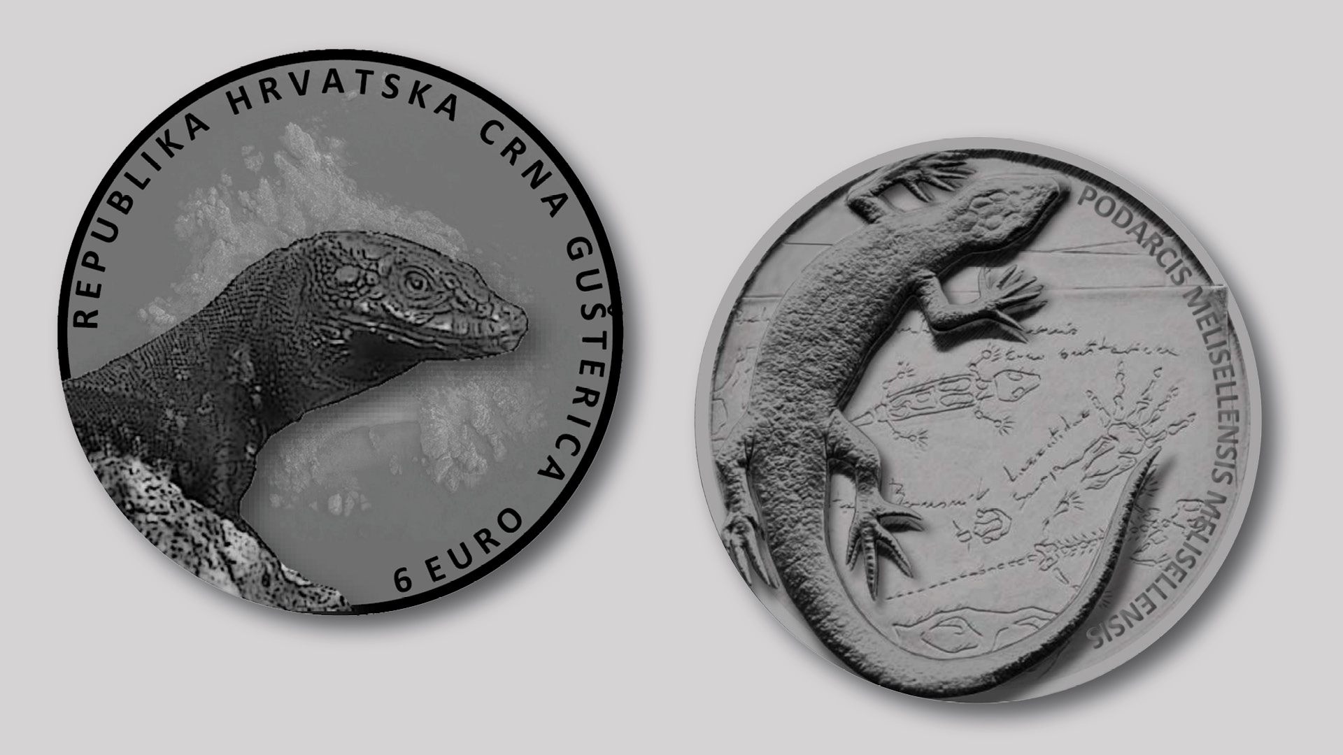 Collector coin  Collector coin